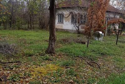 Teren de 1200 mp, în Priseaca - 3