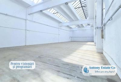 Spațiu comercial, de 500 mp, în Rogerius - 5