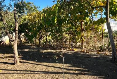 Casă cu 4 camere în Parța - 7