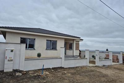 Casa cu curte mare ?i spa?iu verde, zona linistita, Paleu. - 2