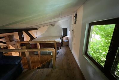 Casa-langa studiourile Buftea, 2 constructii, curte cu pomi, 2500mp, langa lac - 33