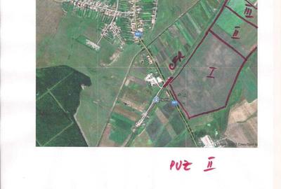 Spațiu comercial, în Pișchia - 3