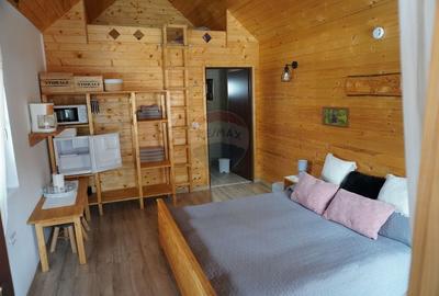 Casă individuală cu 5 camere cu Canalizare în Moisei - 57