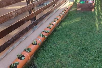 Casă individuală cu 4 camere cu Canalizare în Popas Păcurari - 3