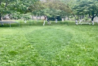 Casă cu 5 camere cu Teren 1097 Mp în Mogoșoaia - 4