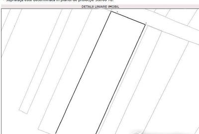 Spațiu comercial, în Căpușu Mare - 1