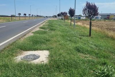 Vanzare Teren Rezidential Branesti Ilfov 1400MP - 3