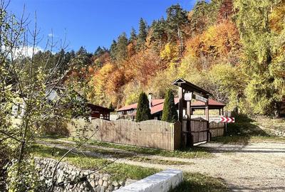 Teren Construcții intravilan de 4000 mp, în Brădet - 9