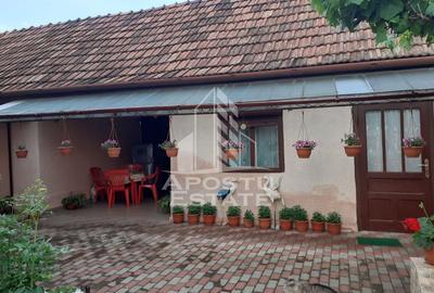 Casa individuala plus anexa, zona centrala in Faget - 3