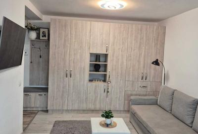 Garsonieră decomandată în Turnișor - 3