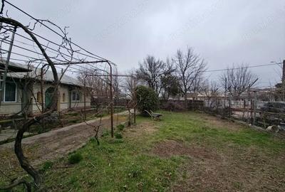 Casă cu Teren 1401 Mp în Amara - 2