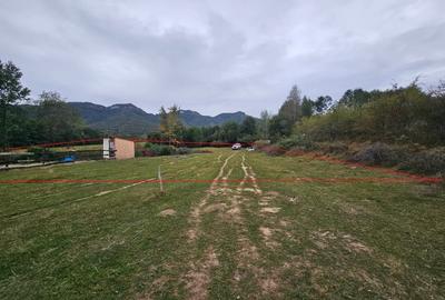 Teren Tohanita-Zarnesti 5000 mp - 5