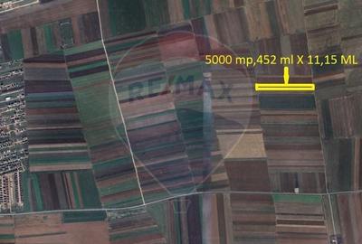 Teren Extravilan 5.800 mp Tarlungeni / Strada Zizinului Teren Extravilan 5.800 mp Tarlungeni / Strada Zizinului - 3