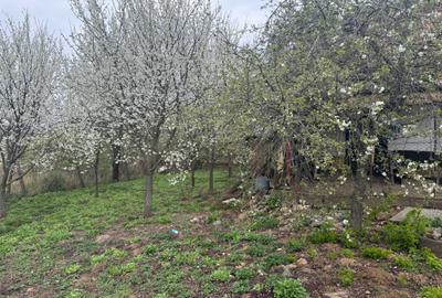 Casă cu 3 camere în Crestur - 5