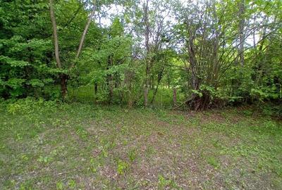 Teren de vanzare in Bradulet Arges - 9