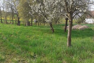 Teren de 6000 mp, în Iteu - 1