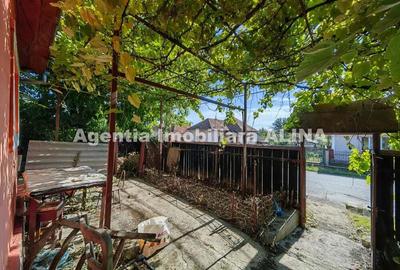 Casa pe un singur nivel si teren intravilan 2016 mp in Satul Cristur, Jud. HD... Casa pe un singur nivel si teren intravilan 2016 mp in Satul Cristur, Jud. HD... - 5
