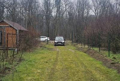 Teren Construcții intravilan de 600 mp, în Cornetu - 4