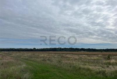 Teren de 500 mp, în Cihei