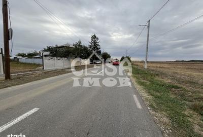 Teren de 1100 mp, în Mogoșani - 10