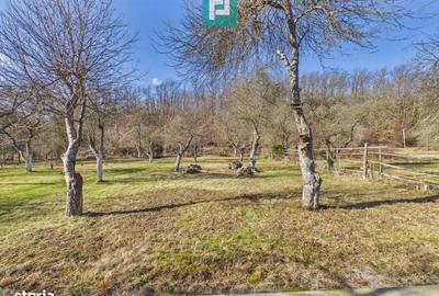 Casă cu 4 camere în Central - 13