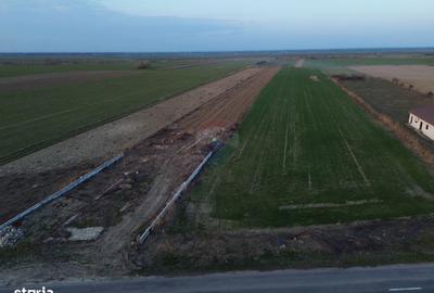 Teren de 12360 mp, în Vulturu - 6