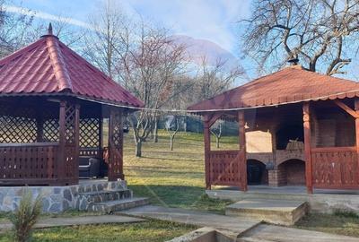 Vila/Casa de vacanta la munte (D+P+E+M) - Prahova - Provi... - 16