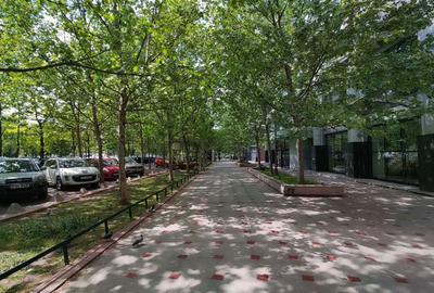 Apartament cu 3 camere decomandat în Unirii - 3