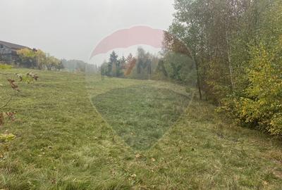 Teren Construcții intravilan de 8119 mp, în Călățele - 13