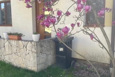 Casă cu 1 camere în Braytim - 4