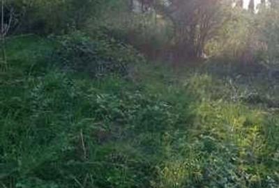 Teren de 1000 mp, în Cisnădioara - 1