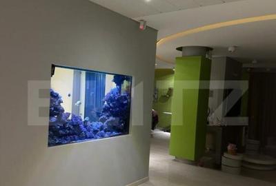 Vila, 8 camere, 790 mp utili, zona Lunei - 7