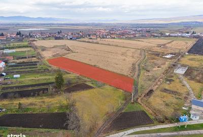 Spațiu comercial, în Bod - 2