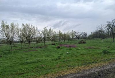 Casă cu 3 camere în Central - 5