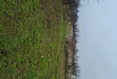 Casă în Garoafa - 4