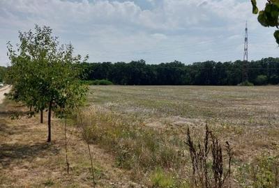 Balotesti teren intravilan 14036 mp Arc padurea Codrii Vlasiei - 5