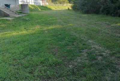 Casă cu 2 camere cu Teren 5400 Mp în Valea Lungă - 5