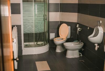 Pensiune sau casa locuit 4 camere Gureni,Gorj,Valea Bistri?ei Gorjene - 9