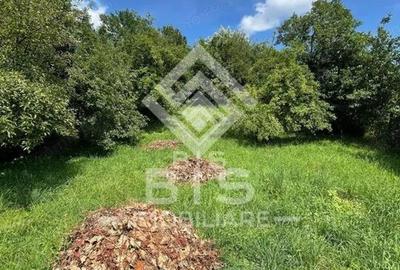 Teren 950m pentru constructii Valea Ghinzii la strada - 3