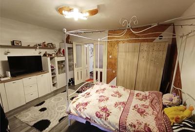 Casa 3 camere teren in Pojejena, jud. Caras Severin - 2