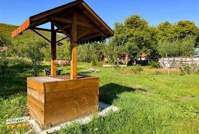 Casă individuală cu 2 camere cu Teren 2989 Mp în Zagon - 13