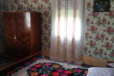 Casă cu 3 camere cu Teren 6400 Mp în Petriș - 8