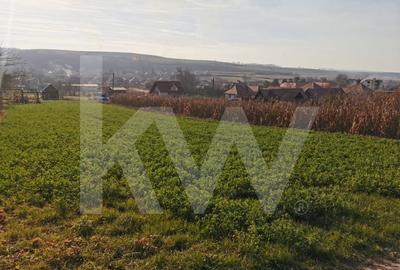 Teren intravilan 1152 mp in Rusi, cu acces la doua drumuri si utilitati in fata - 1