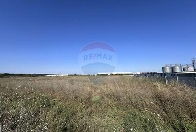 Vanzare Teren Industrial - Stefanestii de Jos (22.800 mp) - 2