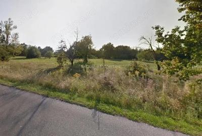 Teren de 4000 mp, în Dejani - 1