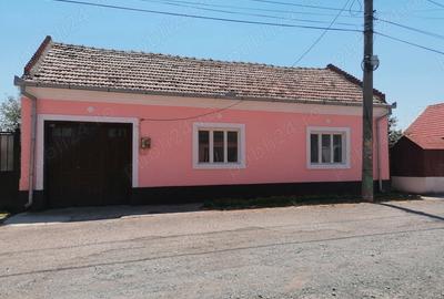 Casă cu 3 camere în Moldova Nouă - 5