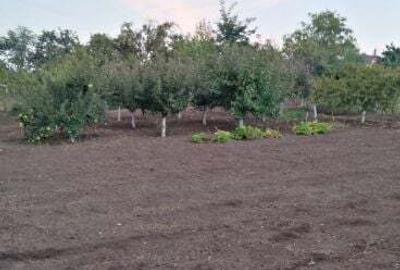 Casă cu 4 camere în Grivița - 3