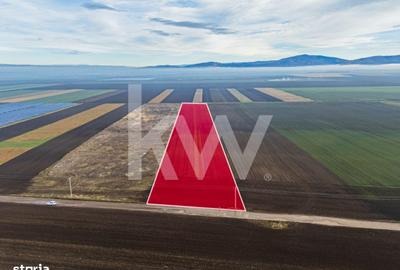 Teren de 16000 mp, în Hărmanului - 4