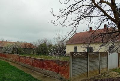 Casă cu Teren 1813 Mp în Hitiaș - 2