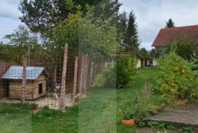 Casă cu 6 camere cu Teren 3000 Mp în Central - 3